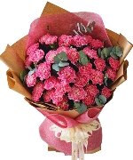 Bó cẩm chướng hồng