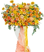 Thành công mỹ mãn