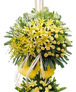 Tương Lai Tươi Sáng