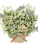 Mini flower vase 06