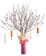 Đào Xuân