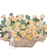 Only rose 32