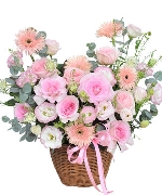 Blush Harmony