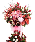 Vạn Sự Hanh Thông 3