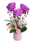 Hồ điệp như ý 01