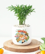 Tiểu trâm như ý