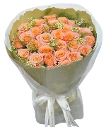 Only rose premium 11