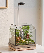 Khu Vườn Nguyện Cầu (kèm đế đèn 3W)