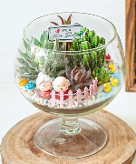 Tiểu cảnh ly thủy tinh 2