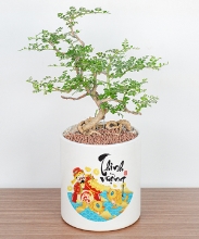 Tấn Lộc Thịnh Vượng