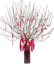 Cành đào đón xuân