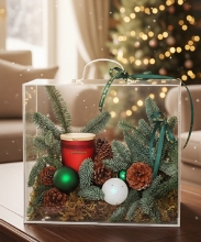 Giáng sinh rực rỡ