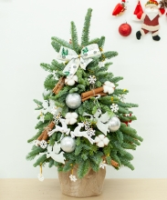 Christmas tree 10