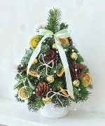 Thông Nordmann 40cm 01