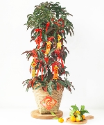 Kim ngân lượng tài lộc 3