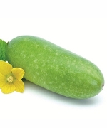 Bí xanh (1 quả, 450g-550kg)