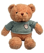 Teddy cá tính size 50