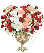 Harmony of Flowers