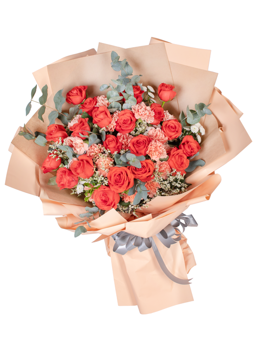 Carnations Closer hoa tươi