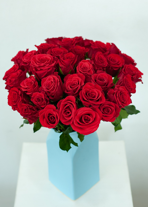 Hình ảnh hoa Mai đỏ đẹp mang ý nghĩa may mắn tài lộc
