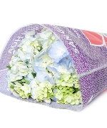 Cẩm tú cầu (5 cành)