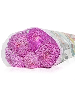 Cúc mẫu đơn hồng đậm ĐL (5 cành)