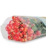 Hồng chùm son môi (10 cành)