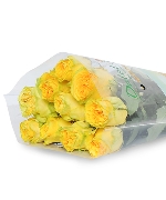 Ohara vàng (10 cành)