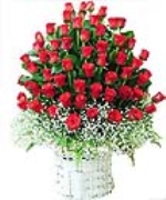 Love you with all of my heart