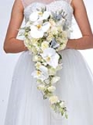 Đôi Cánh Tình Yêu