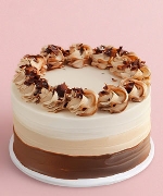 Bánh Kem Tươi Ombre Choco (15cm)