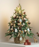 Thông tươi Noel 80cm 06