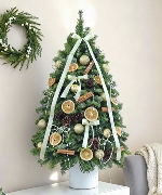 Thông Nordmann 80cm 01