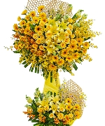 Thành công rực rỡ