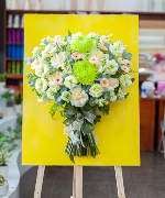 Everything is the best 2