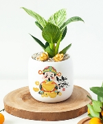 May mắn tràn đầy