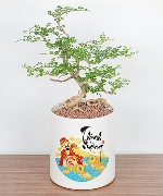 Tấn Lộc Thịnh Vượng