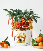 Kim ngân lượng 2