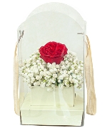 Yêu em một đời (Giỏ xanh bơ)
