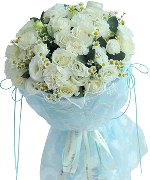 Flowers Express B11