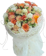 Flowers Express B21