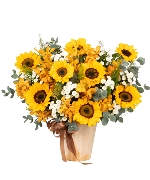 Sun flower