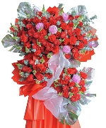 Love and rose