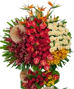 Super Vip 1