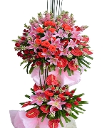 Peak of success