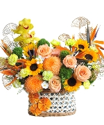 Tân Niên Khai Phúc