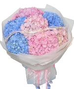 The radiant blooms