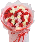 Only rose mix ngẫu nhiên (50b)