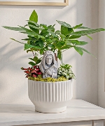 Đồng Cỏ Xanh