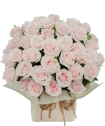 Only rose 2